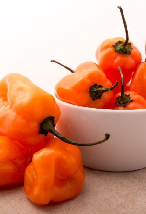 Habanero Peppers Facts