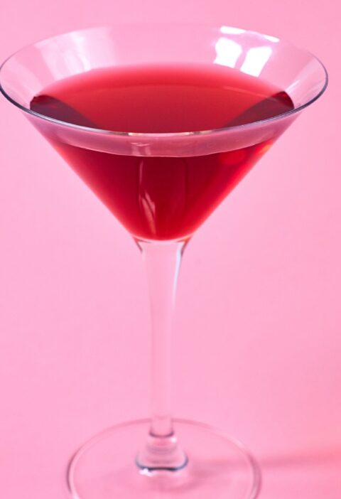 Hibiscus Martini Recipe