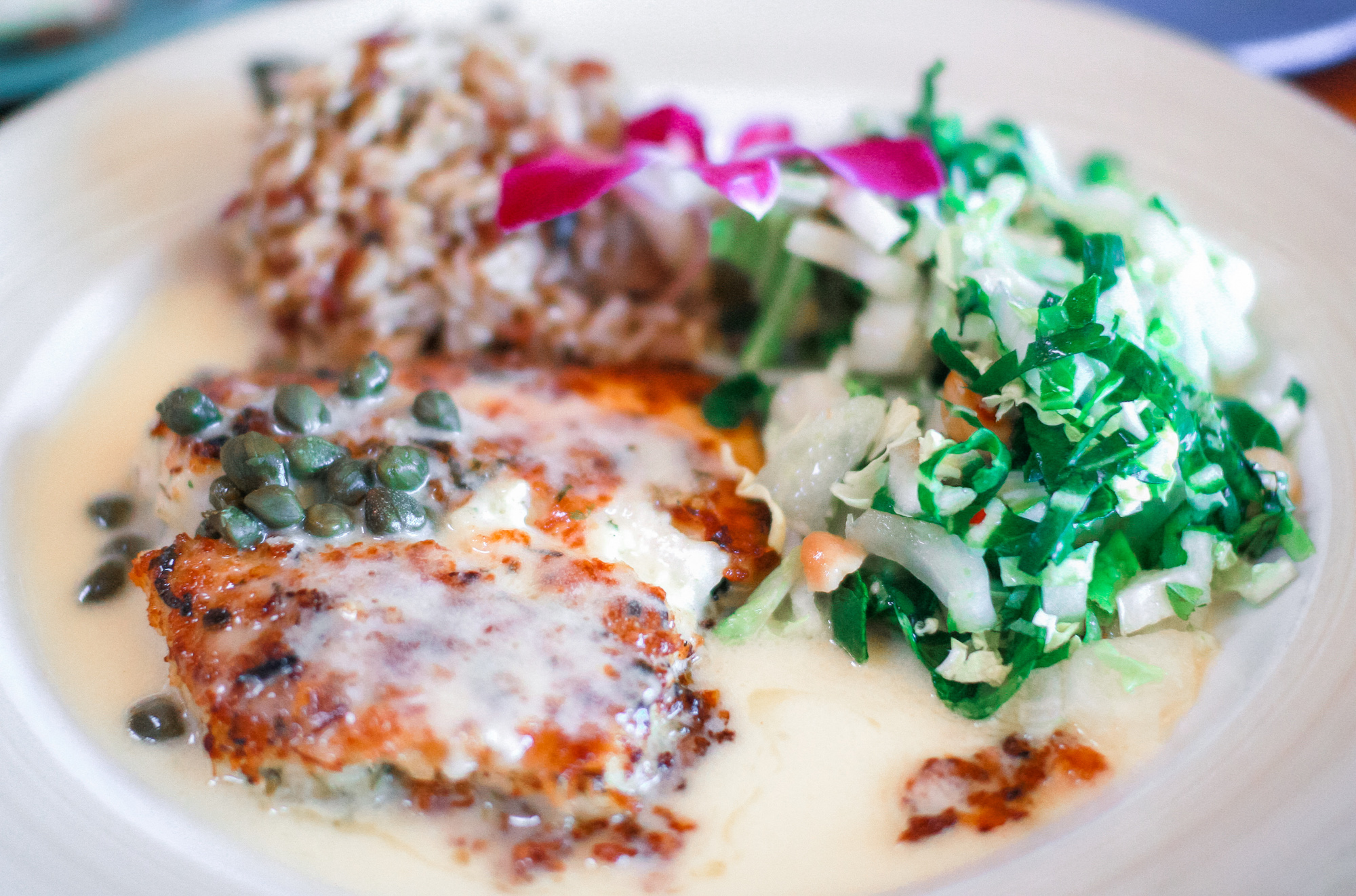 Macadamia Crusted Mahi Mahi Cooking Sessions