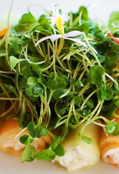 Melon and Crab Salad Recipe