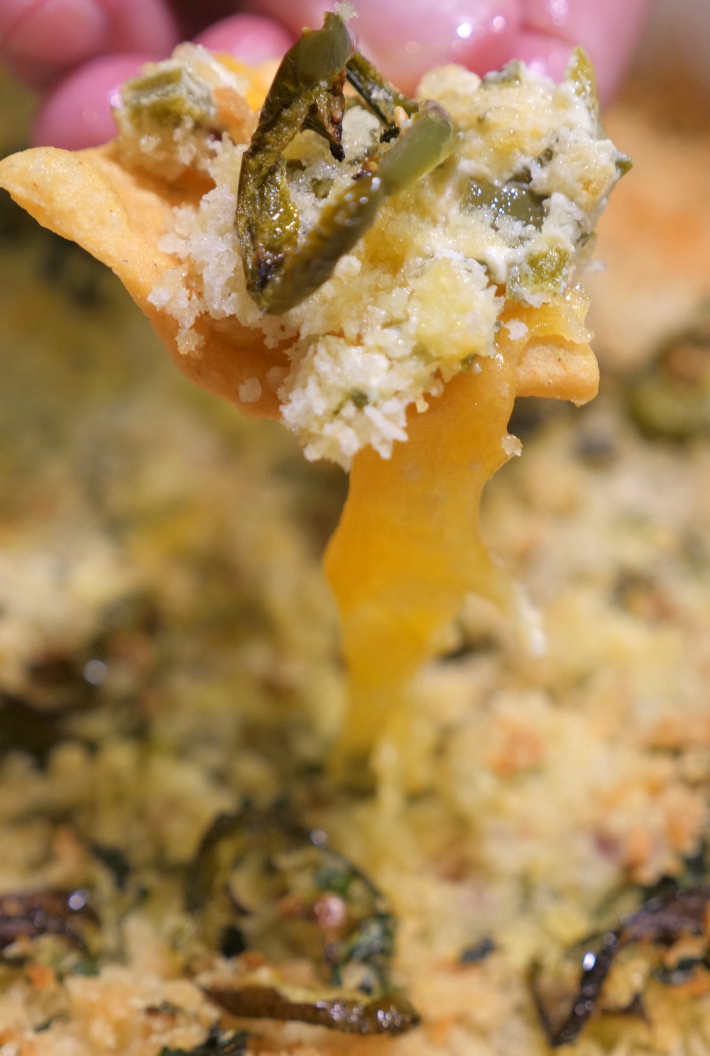 Jalapeno Popper Dip Cooking Sessions